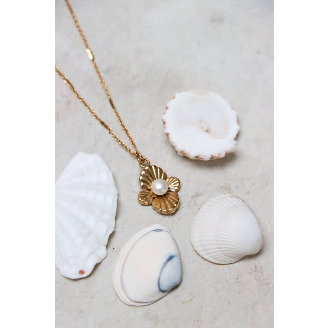 Label Kiki K.sk.152.1 hidden pearl necklace gold K.SK.152.1 Hidden pearl necklace gold large