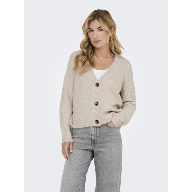 Only Onlzoey ls regular cardigan knt noos beige 4249.05.0006 large