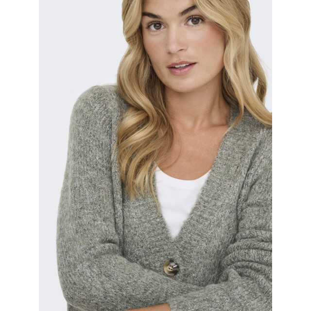 Only Onlzoey ls regular cardigan knt noos melee 4249.28.0004 large