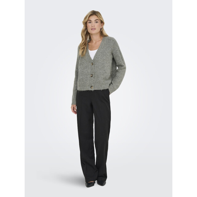 Only Onlzoey ls regular cardigan knt noos melee 4249.28.0004 large