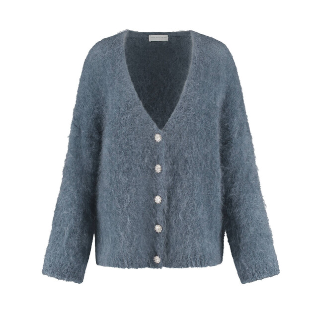 Amaya Amsterdam Top lange mouw 254-a32 roos Amaya Amsterdam Vest 254-A32 Roos large