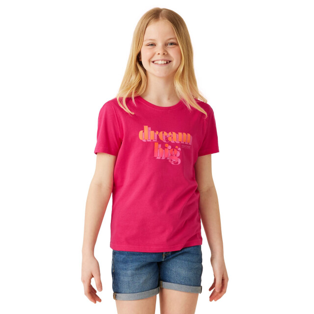 Regatta Kinderen/kinderen bosley vii droom groot t-shirt UTRG10593_pinkpotion large