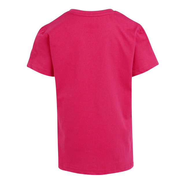 Regatta Kinderen/kinderen bosley vii droom groot t-shirt UTRG10593_pinkpotion large