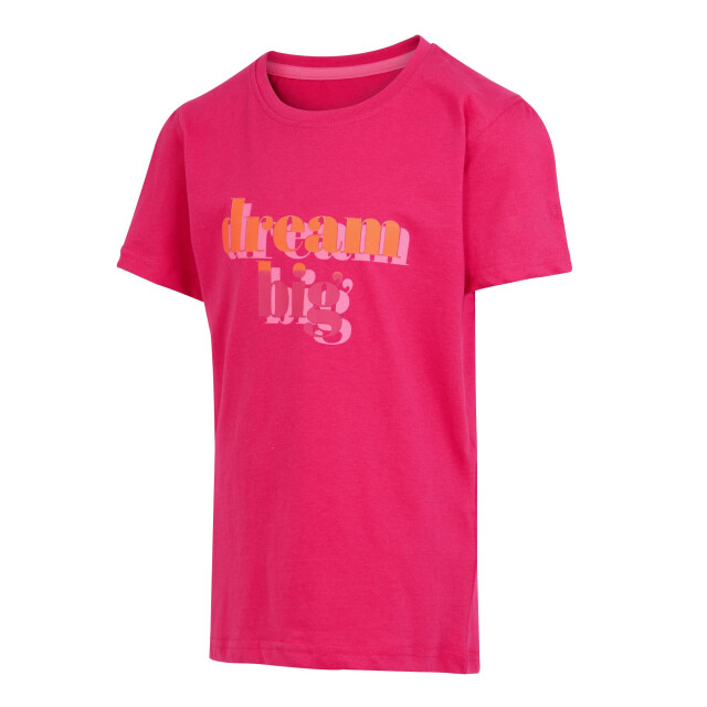 Regatta Kinderen/kinderen bosley vii droom groot t-shirt UTRG10593_pinkpotion large