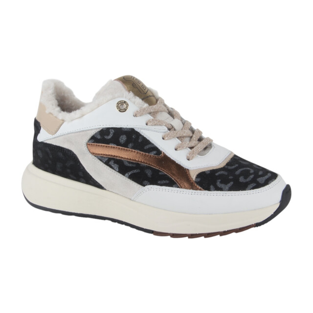 Floris van Bommel Floris Van Bommel SFM-10154-30-02 Sneakers Grijs Floris Van Bommel SFM-10154-30-02 large