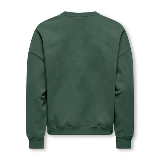 Only Kogbila ls ovz bear o-neck swt noos - 2209.20.0004 large