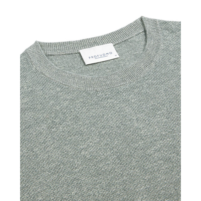Profuomo T-shirt ss 102654-001-M large