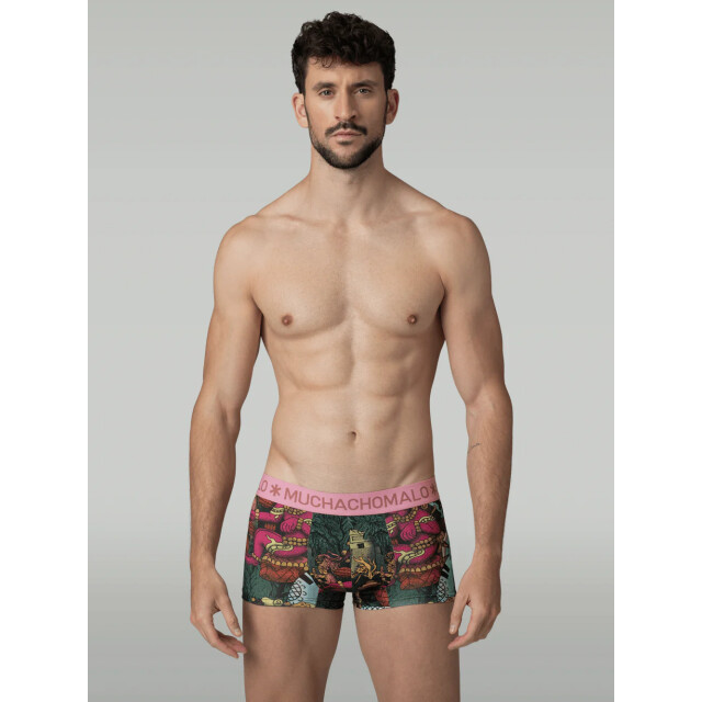 Muchachomalo Heren 2-pack trunks ancient civilizations ANCIENTCIVILIZATIONS3025-04 large