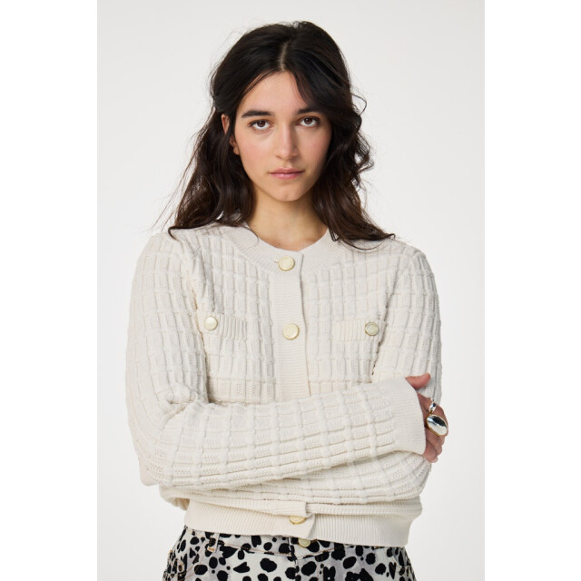 Fabienne Chapot cltcar05aw251009 chin cardigan CLTCAR05AW251009 large