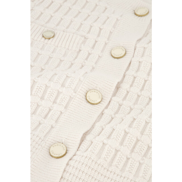 Fabienne Chapot cltcar05aw251009 chin cardigan CLTCAR05AW251009 large