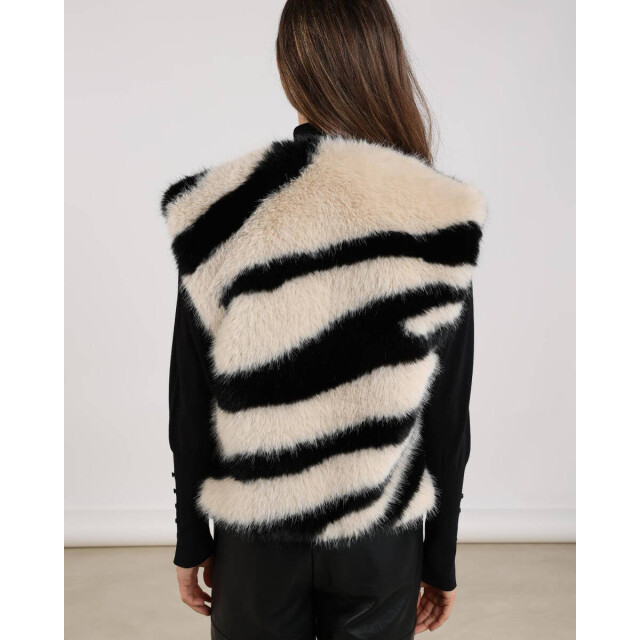Nukus Gilet nkf08015 fally Nukus Gilet NKF08015 FALLY large