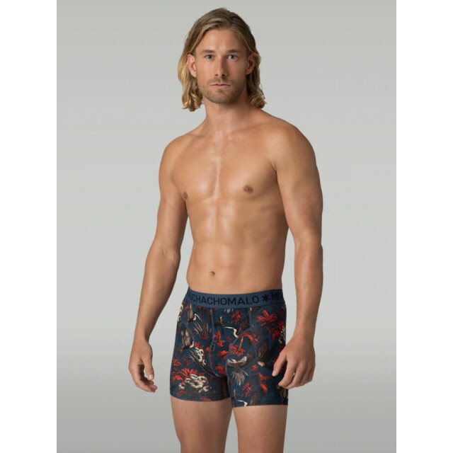 Muchachomalo Men 3-pack boxer shorts palmbirds / 2555 2555/Men 3-Pack Boxer Shorts Print/ large