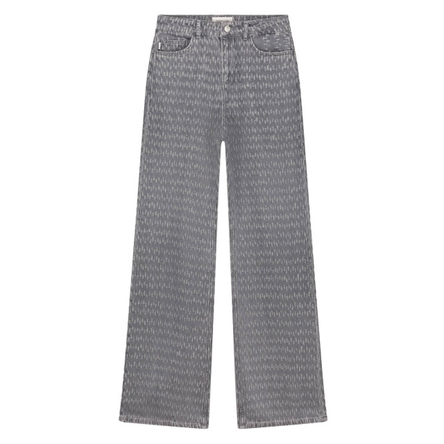 Fabienne Chapot Jeans cltjns20 thea Fabienne Chapot Jeans CLTJNS20 THEA large