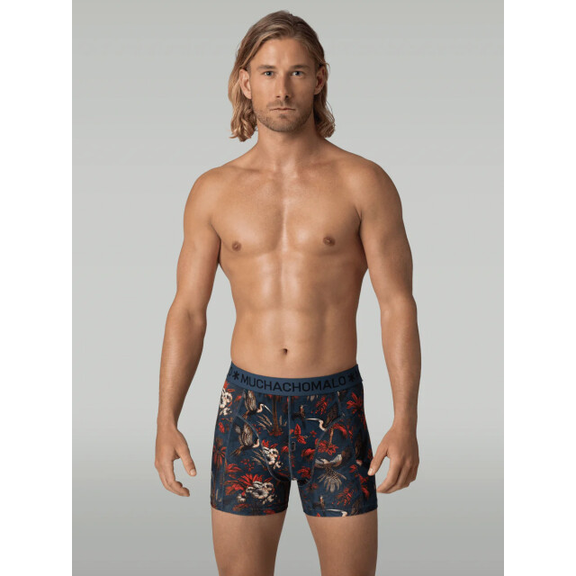 Muchachomalo Heren 3-pack boxershorts PALMBIRDS1010-01 large