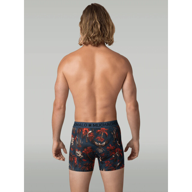 Muchachomalo Heren 3-pack boxershorts PALMBIRDS1010-01 large