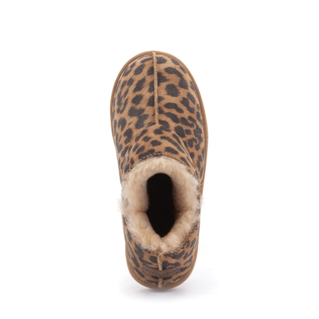 Warmbat Willow WLW3212-23 large