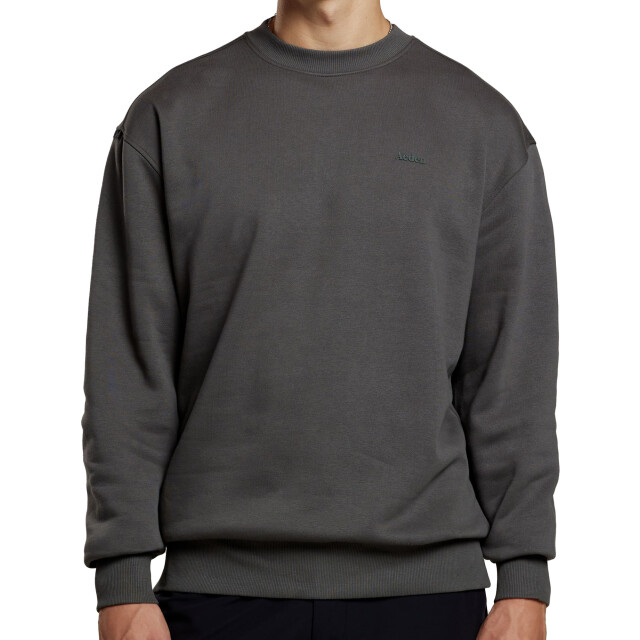 Aeden Didier sweater dark shadow A22243090-26 large