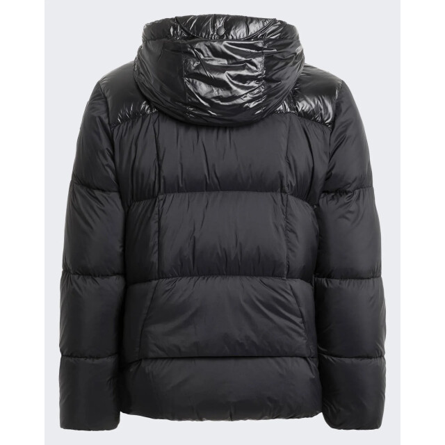 Parajumpers Heren sento PMPUMU02-541 large