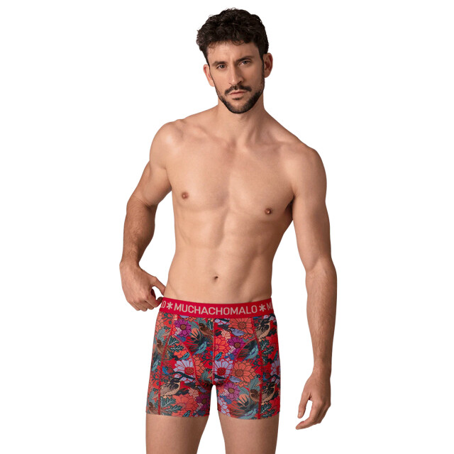 Muchachomalo Heren 12-pack boxershorts print/effen U-GOLDEN1010-16 large Muchachomalo Heren 12-pack boxershorts print/effen U-GOLDEN1010-16 large
