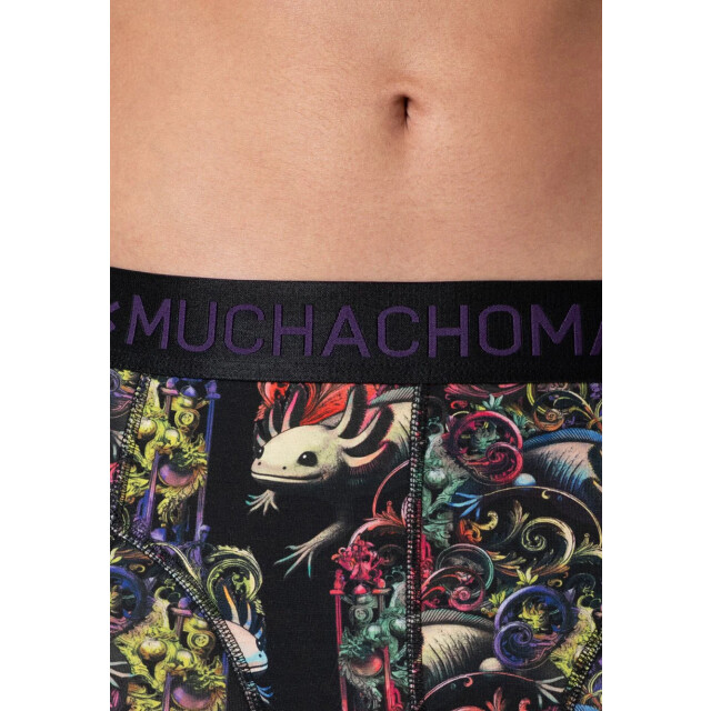 Muchachomalo Heren 2-pack boxershorts AXOLOTL1010-01 large Muchachomalo Heren 2-pack boxershorts AXOLOTL1010-01 large
