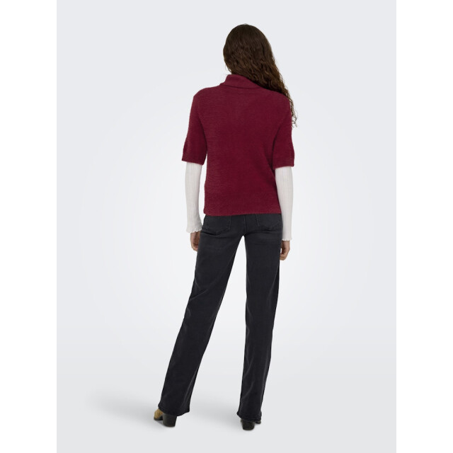 Only Onlpiumo ss highneck knt wijn 4382.43.0024 large
