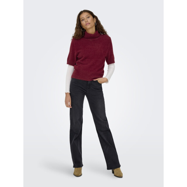 Only Onlpiumo ss highneck knt wijn 4382.43.0024 large