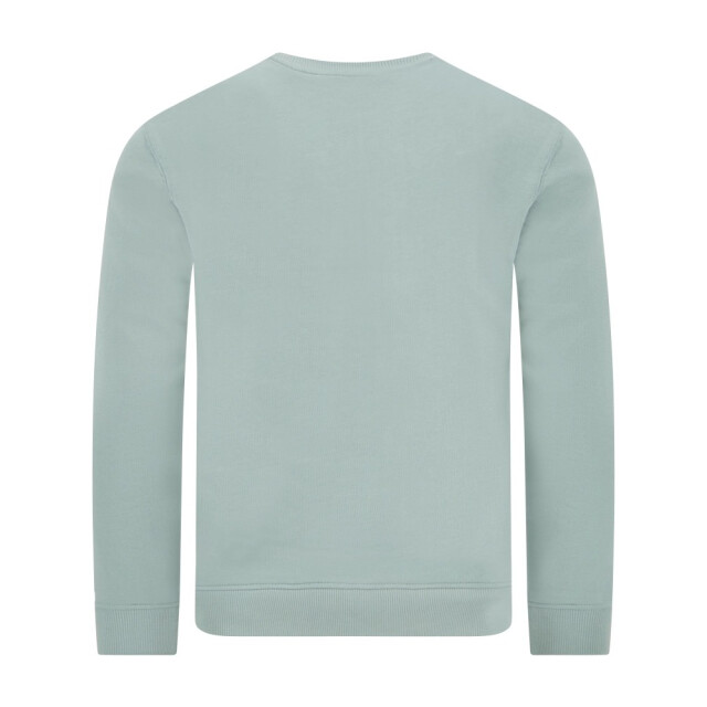 Lyle and Scott Crew neck sweatshirt mint 5209.21.0001 large