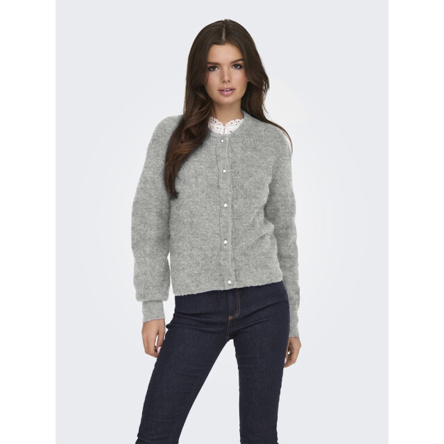 Jacqueline de Yong Jdylumi life ls button cardiga knt noos melee 4249.87.0035 large