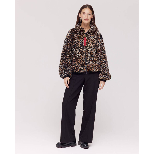 Harper & Yve Broek dw25n115 dora Harper & Yve Broek DW25N115 DORA large