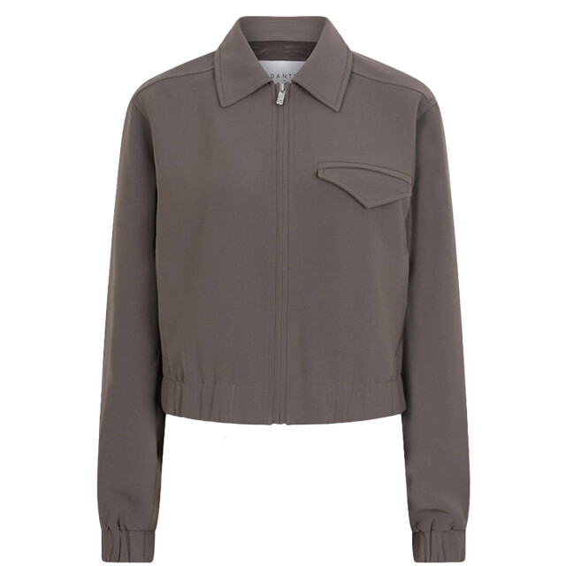 Dante 6 Jasje 253110 prince Dante 6 Jasje 253110 Prince large