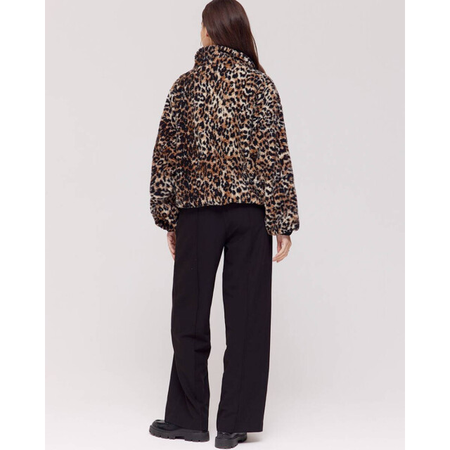 Harper & Yve Broek dw25n115 dora Harper & Yve Broek DW25N115 DORA large