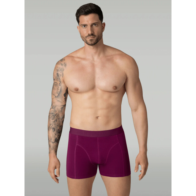 Muchachomalo Heren 5-pack boxershorts light cotton LCSOLID1010-137 large