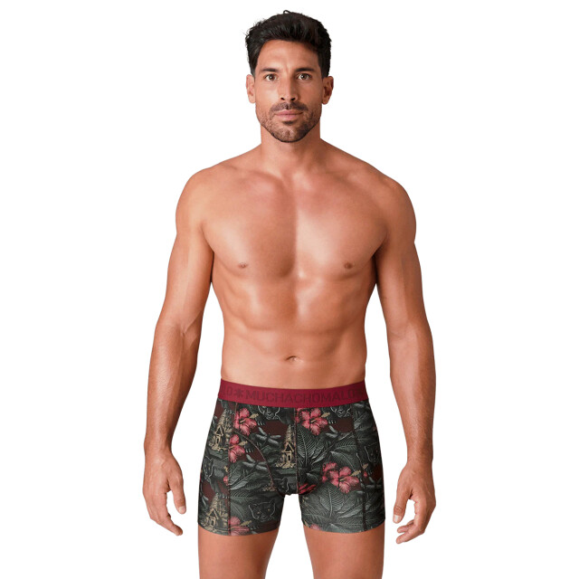 Muchachomalo Heren 12-pack boxershorts print/effen U-GOLDEN1010-14 large