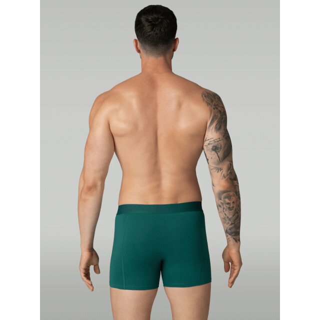 Muchachomalo Heren 5-pack boxershorts light cotton LCSOLID1010-143 large Muchachomalo Heren 5-pack boxershorts light cotton LCSOLID1010-143 large