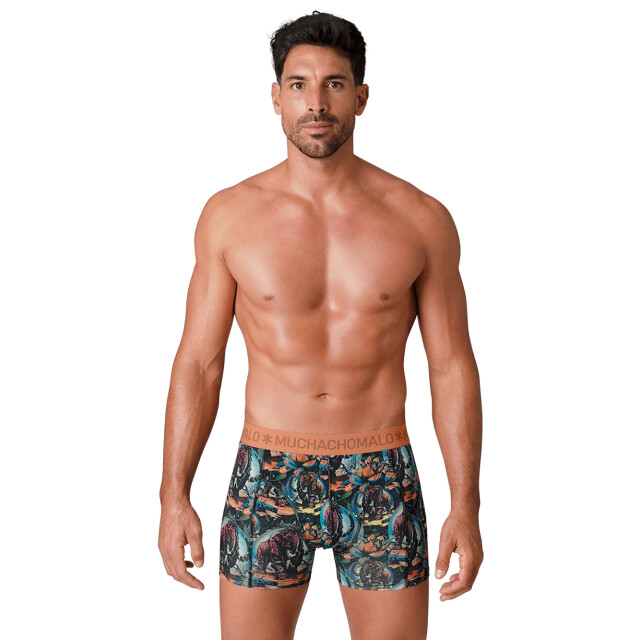 Muchachomalo Heren 12-pack boxershorts print/effen U-GOLDEN1010-14 large