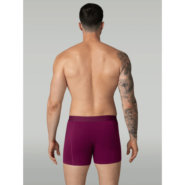 Muchachomalo Heren 5-pack boxershorts light cotton LCSOLID1010-137 large