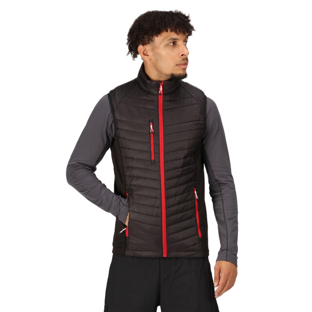 Regatta Heren navigate gewatteerd hybride gilet UTLT225_blackclassicred large