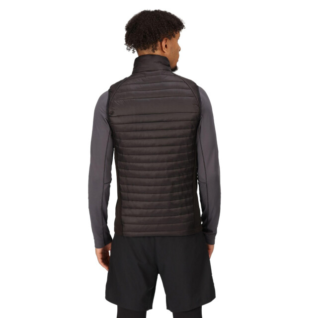 Regatta Heren navigate gewatteerd hybride gilet UTLT225_blackclassicred large