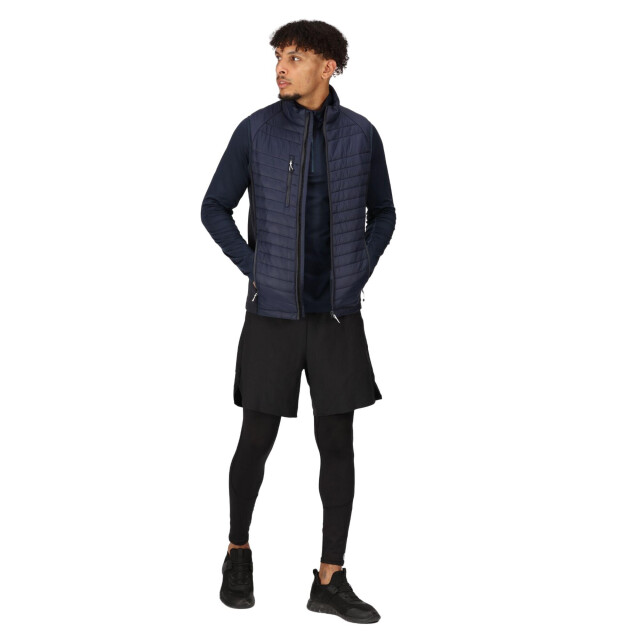 Regatta Heren navigate gewatteerd hybride gilet UTLT225_navysealgrey large