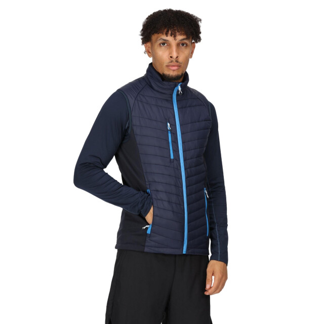 Regatta Heren navigate gewatteerd hybride gilet UTLT225_navyfrenchblue large