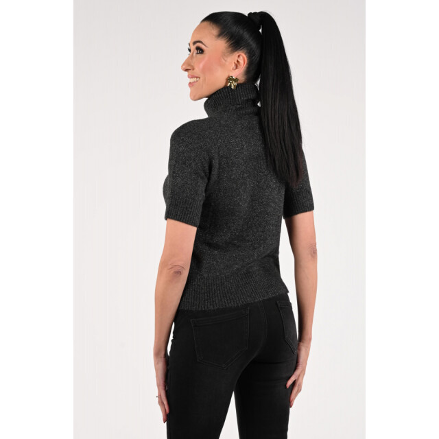 Emotions pullover rollneck ss lurex 225113l 212 antra mel 06711.980.0005 large