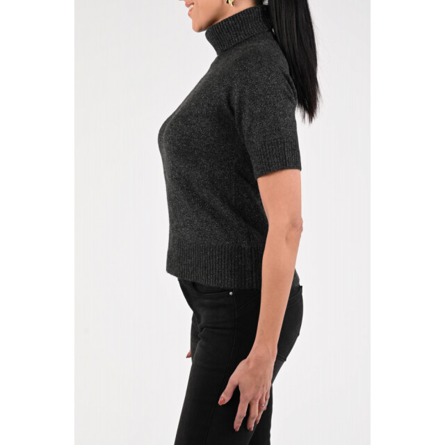 Emotions pullover rollneck ss lurex 225113l 212 antra mel 06711.980.0005 large