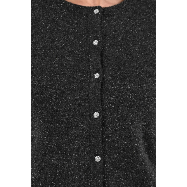Emotions cardigan with fancy buttons lurex 225114l 212 antra mel 06741.980.0014 large