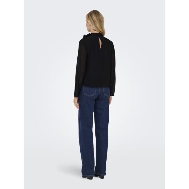 Jacqueline de Yong nomi l/s high neck rose top wvn 15361373 - 06615.991.0253 large
