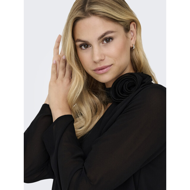 Jacqueline de Yong nomi l/s high neck rose top wvn 15361373 - 06615.991.0253 large