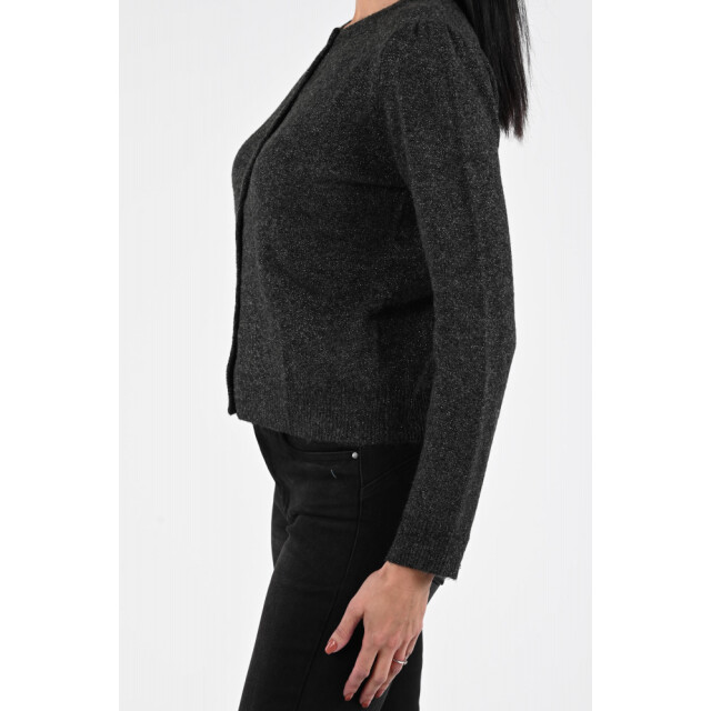 Emotions cardigan with fancy buttons lurex 225114l 212 antra mel 06741.980.0014 large