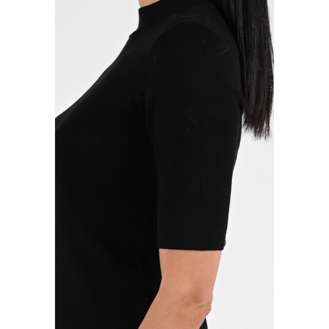 Emotions turtle hs fullneedle 225003 210 black 06712.990.0097 large