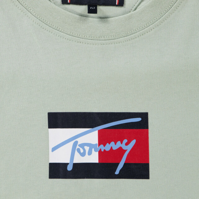 Tommy Hilfiger Kinder jongens t-shirt in 2016604269130 large