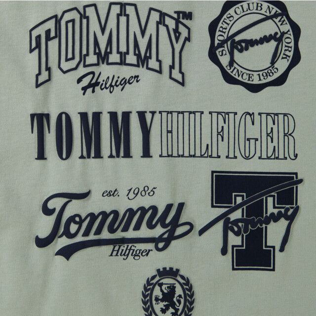 Tommy Hilfiger Kinder jongens t-shirt in 2016604072280 large