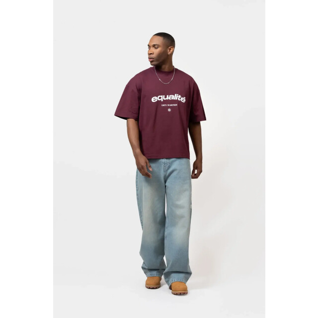 Equalité Celeste boxy tee aubergine 160175246 large